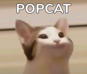 เกมส์แมวอ้าปาก Popcat